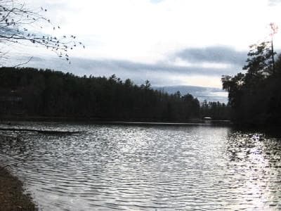 Gallery image 9