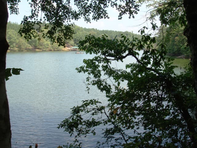 Gallery image 2